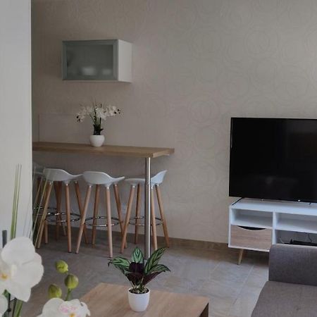 Le Cygne, Appartement De Standing En Hyper-Centre Sarreguemines Zewnętrze zdjęcie